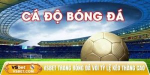 Vsbet trang cá độ bóng đá với tỷ lệ kèo thắng 98%